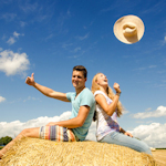 bauen wohnen mieten 150 150