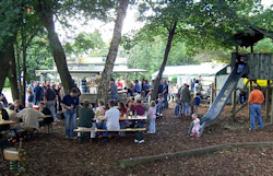 TTC Talling Geschichte